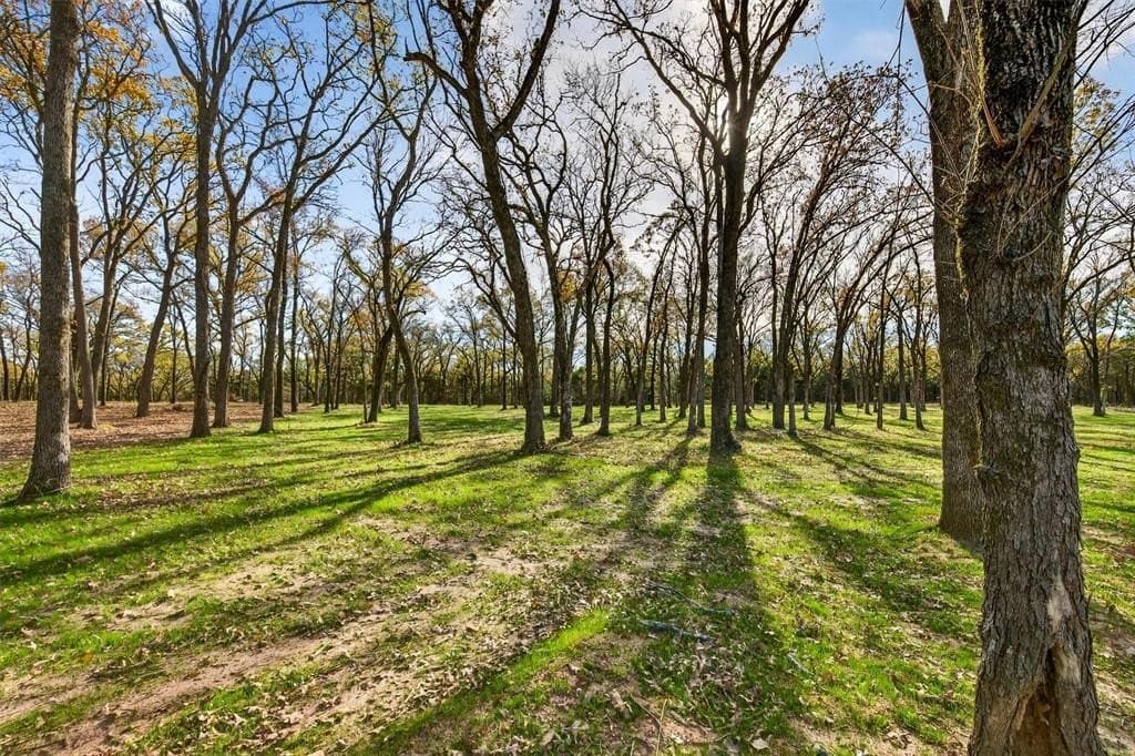 1.4 acres in Grayson County - photo 24