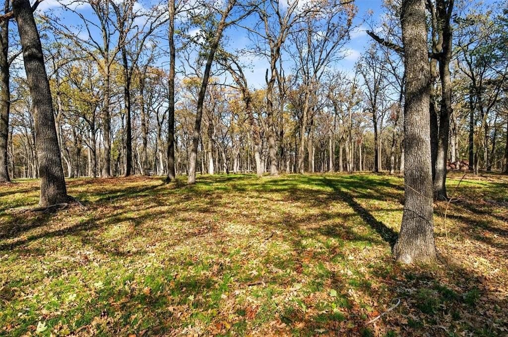 1.4 acres in Grayson County - photo 15