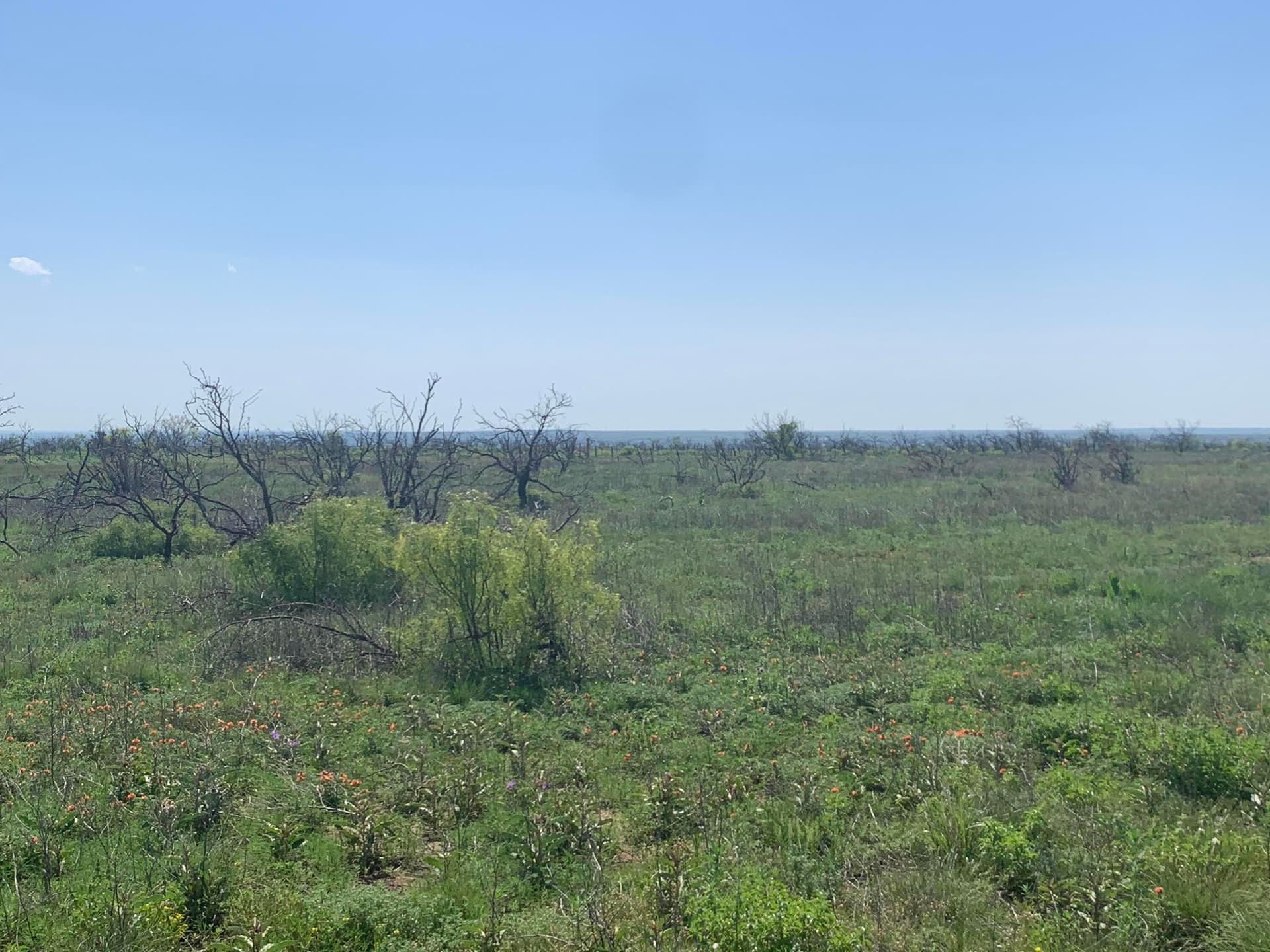 19.61 acres in Potter County - photo 4