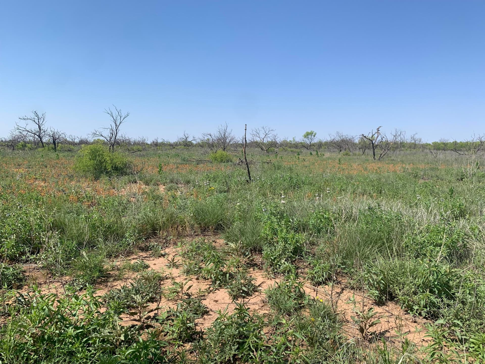 19.61 acres in Potter County - photo 5