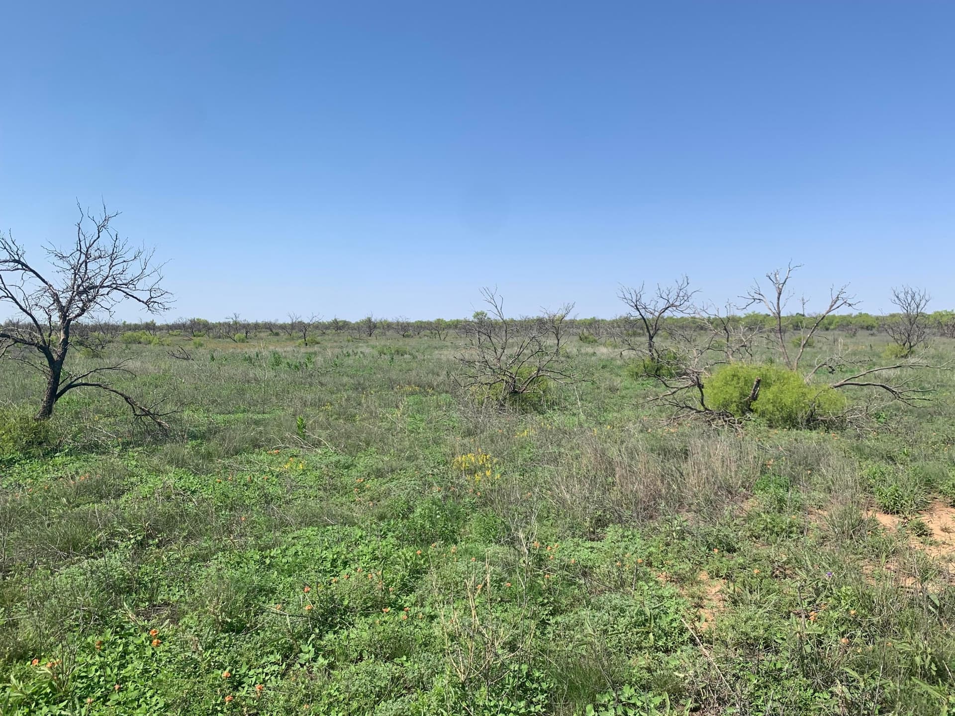 19.61 acres in Potter County - photo 3