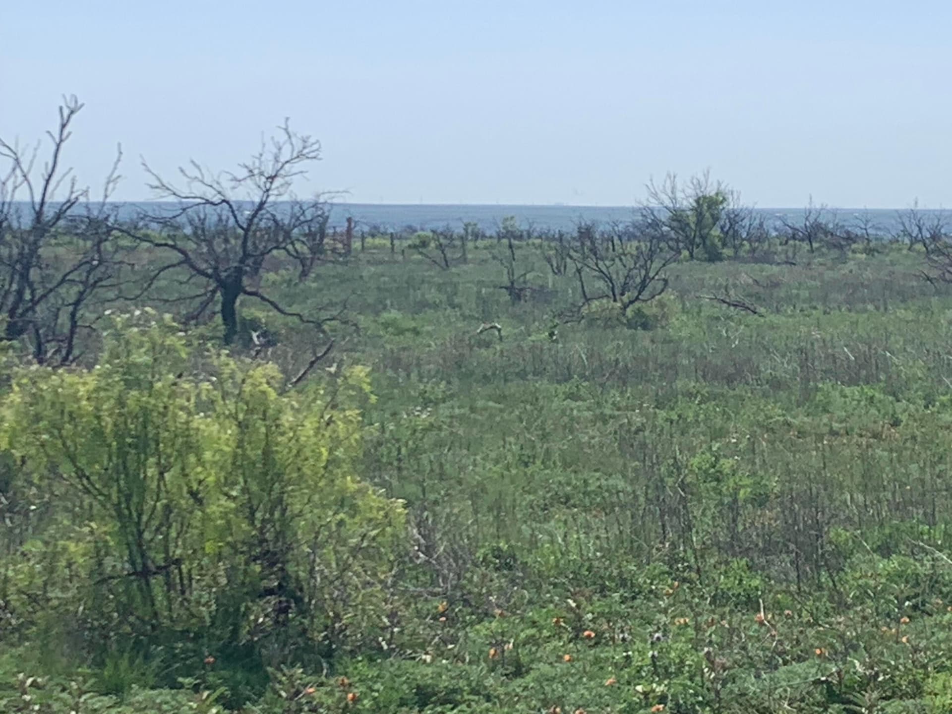 19.61 acres in Potter County - photo 2