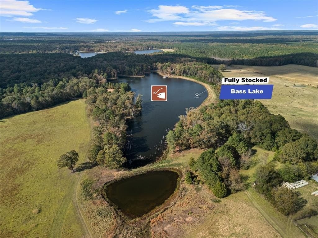 500 acres in Panola County - photo 2
