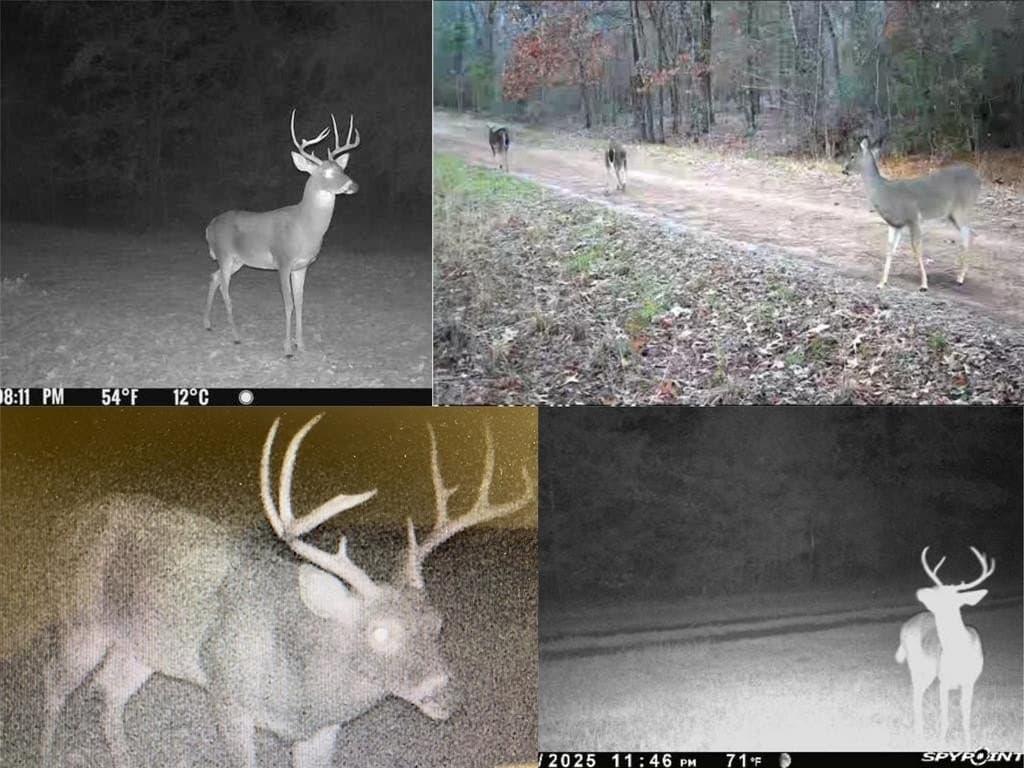 500 acres in Panola County - photo 15