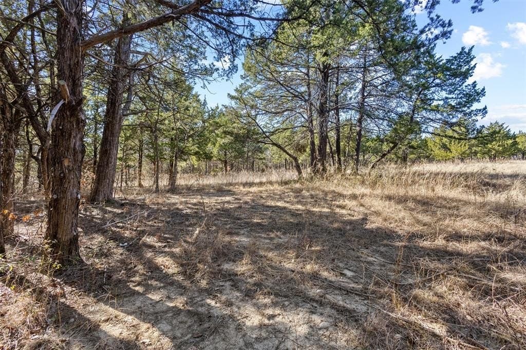 12.15 acres in Grayson County - photo 2