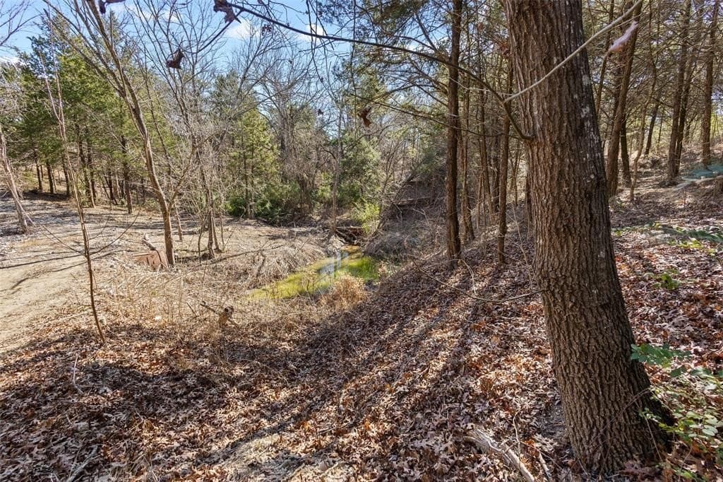 12.15 acres in Grayson County - photo 24