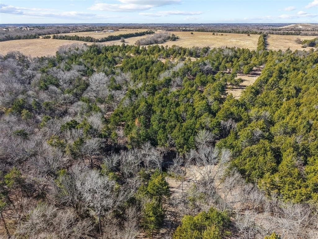 12.15 acres in Grayson County - photo 20