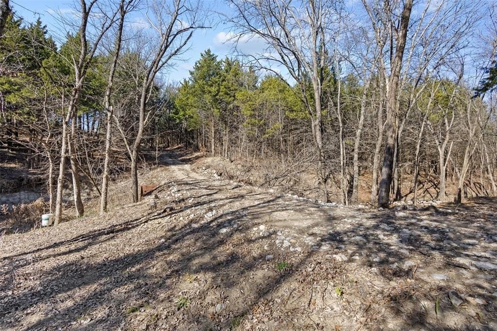 12.15 acres in Grayson County - photo 5