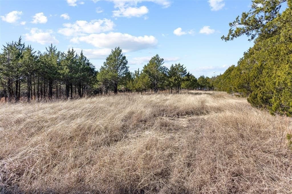 12.15 acres in Grayson County - photo 3