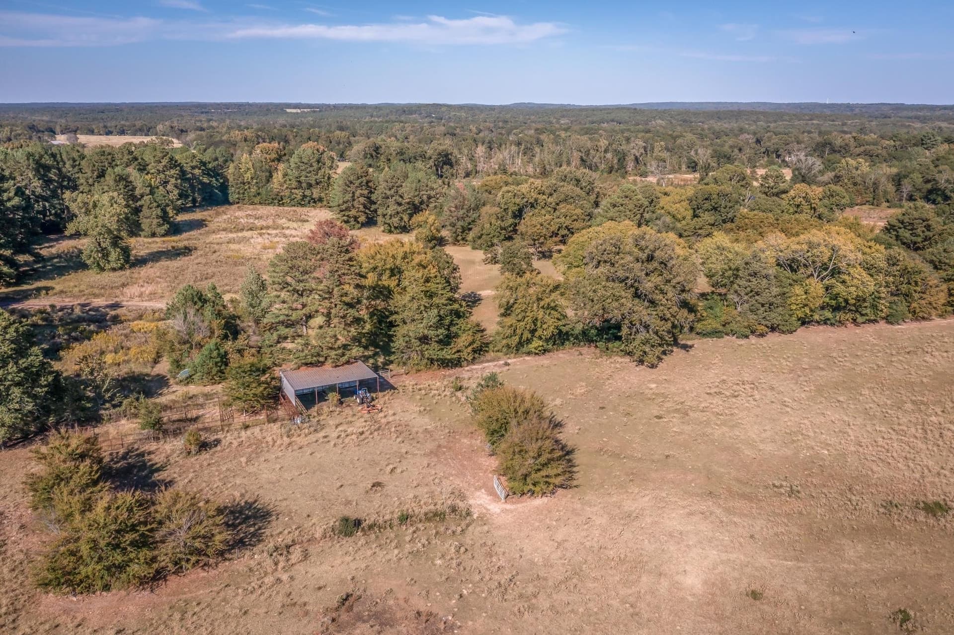 38.55 acres in Wood County - photo 5