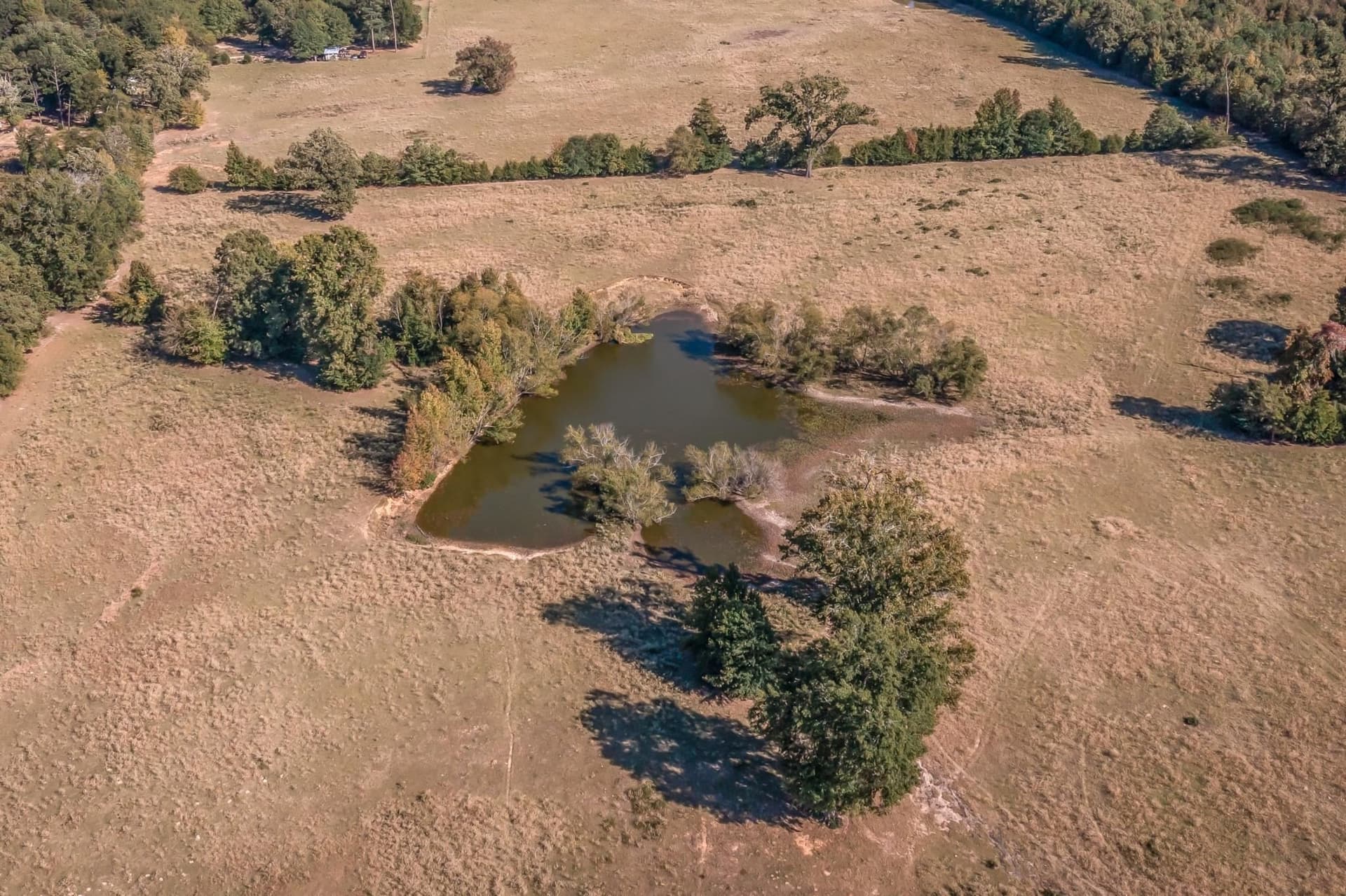38.55 acres in Wood County - photo 9