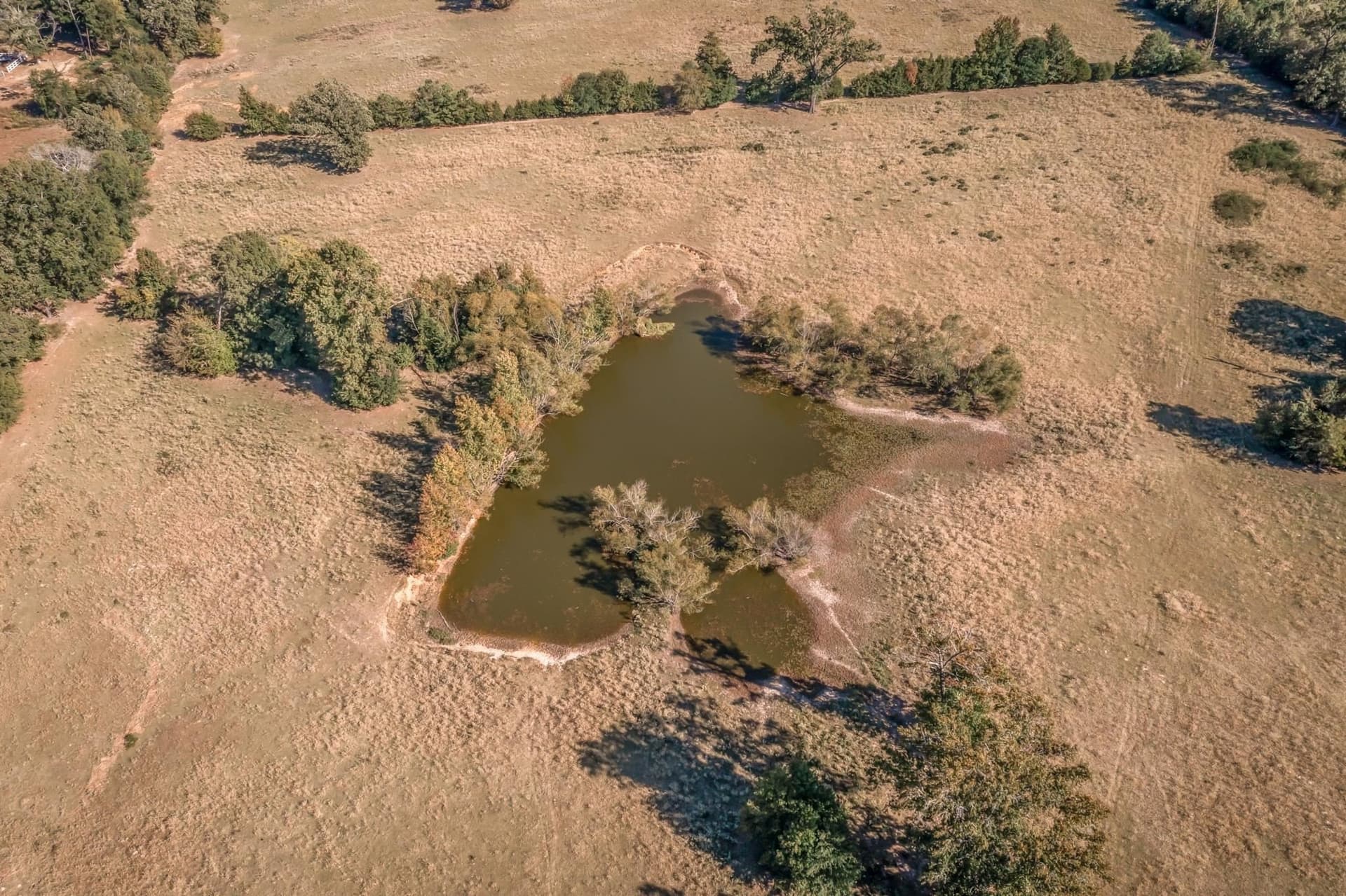 38.55 acres in Wood County - photo 7