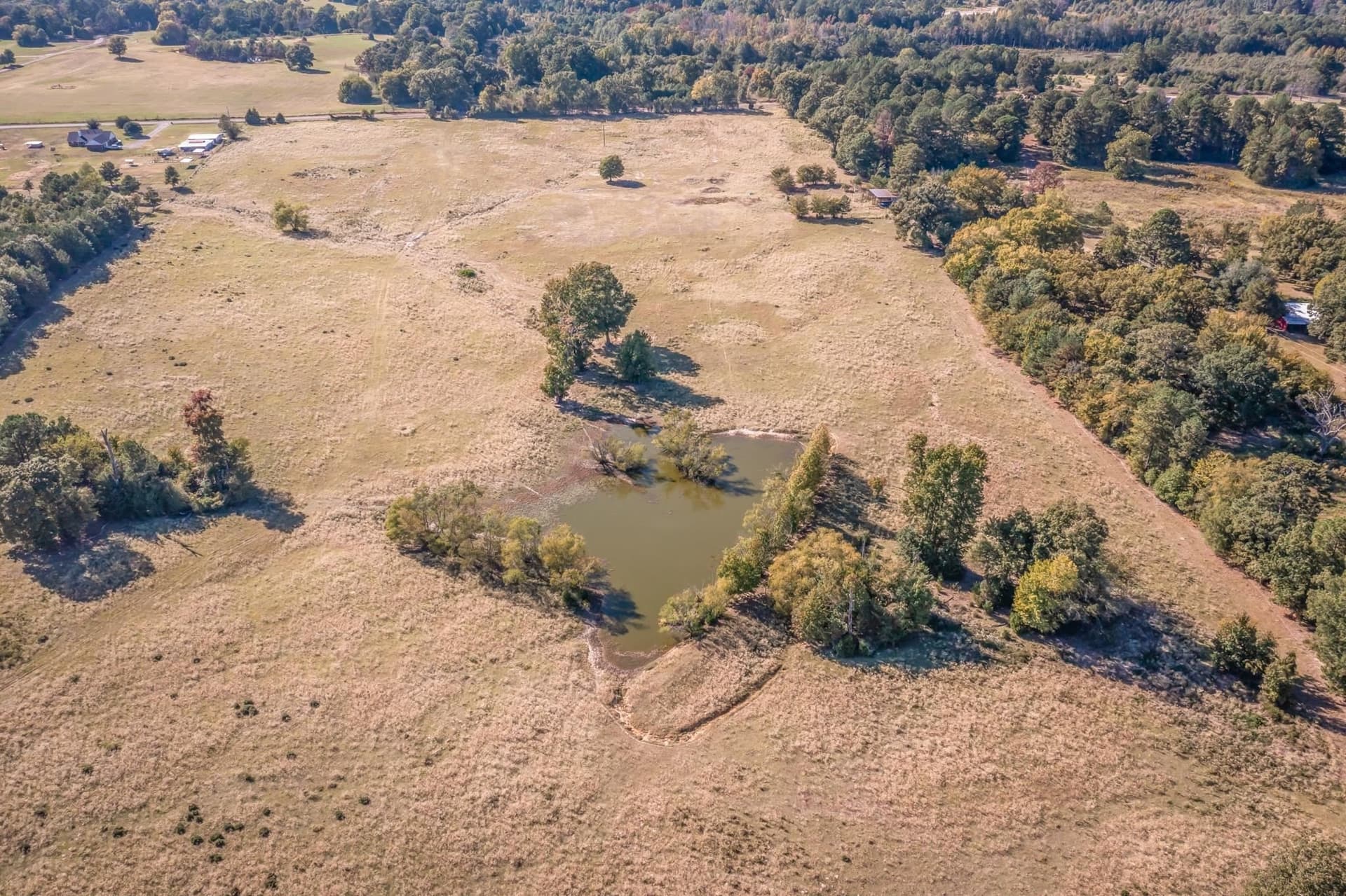38.55 acres in Wood County - photo 6