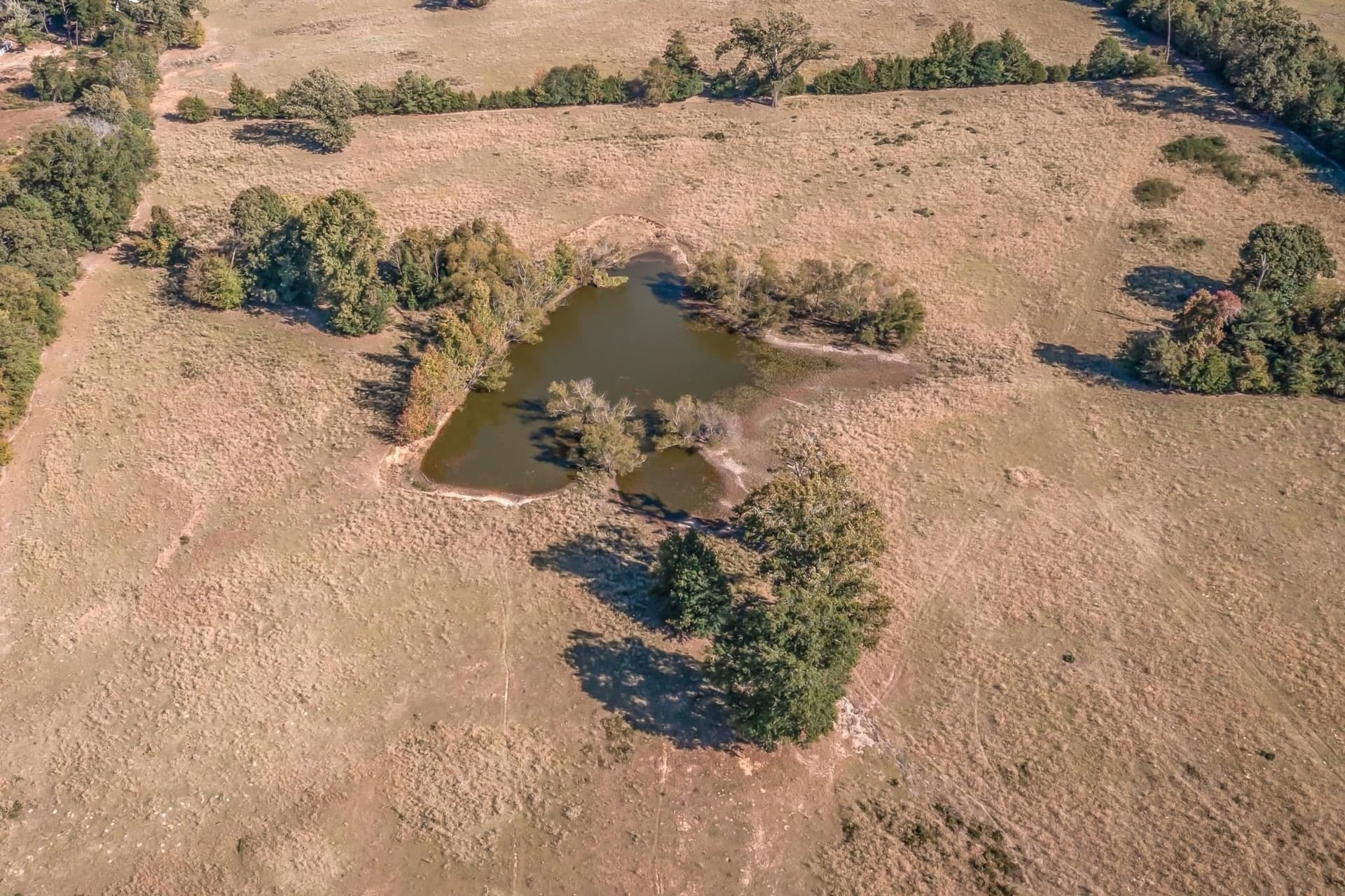 38.55 acres in Wood County - photo 8