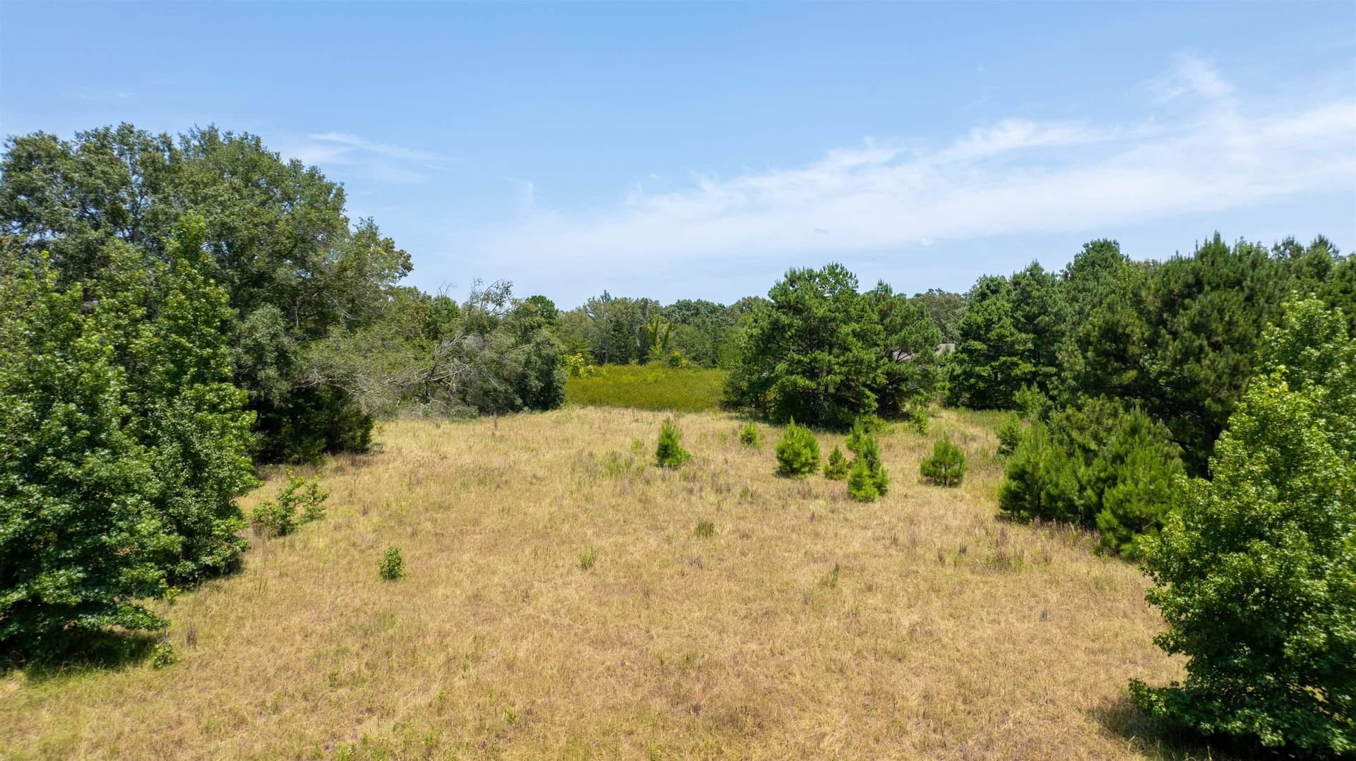 24.91 acres in Smith County - photo 26