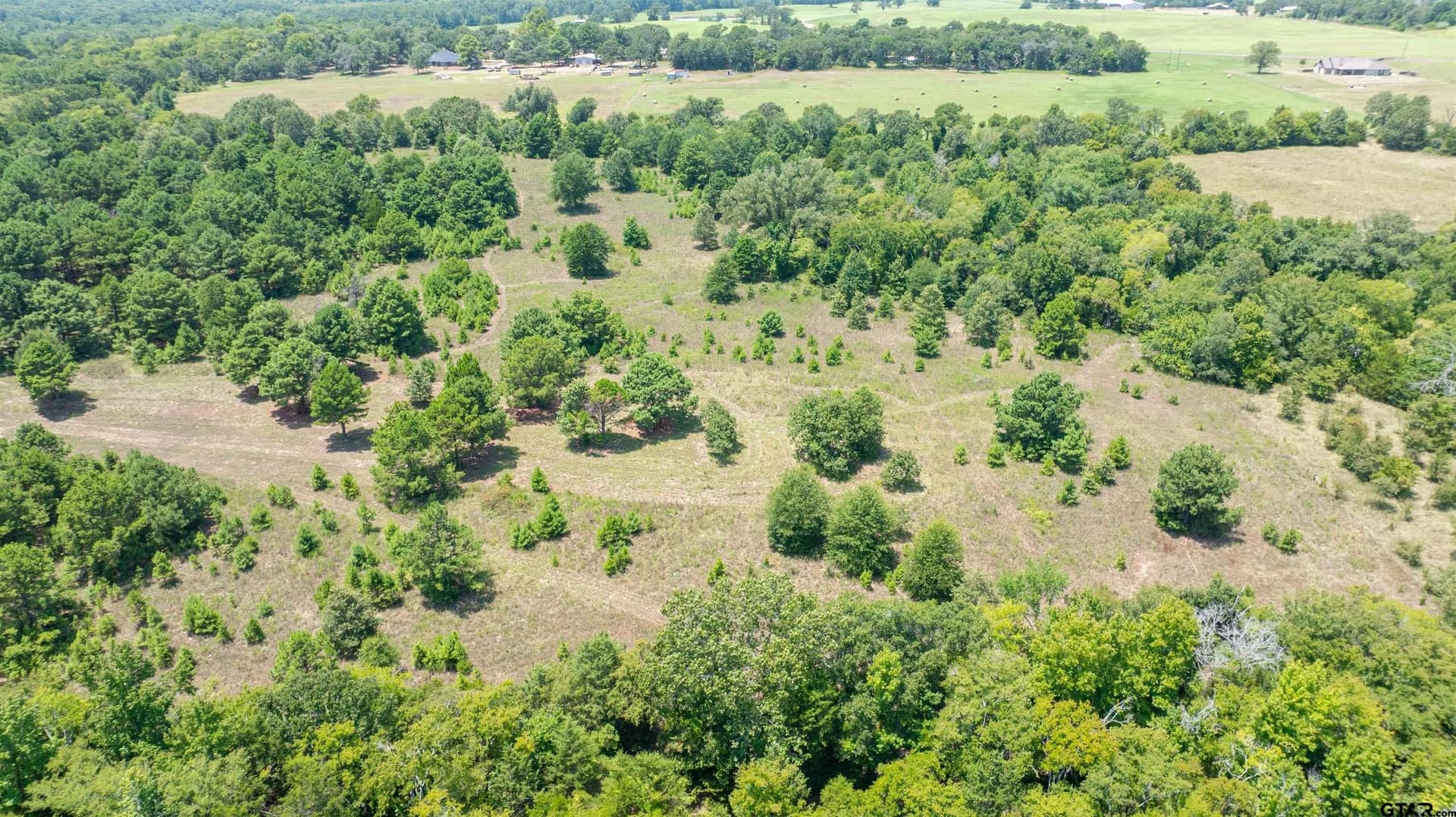 24.91 acres in Smith County - photo 8