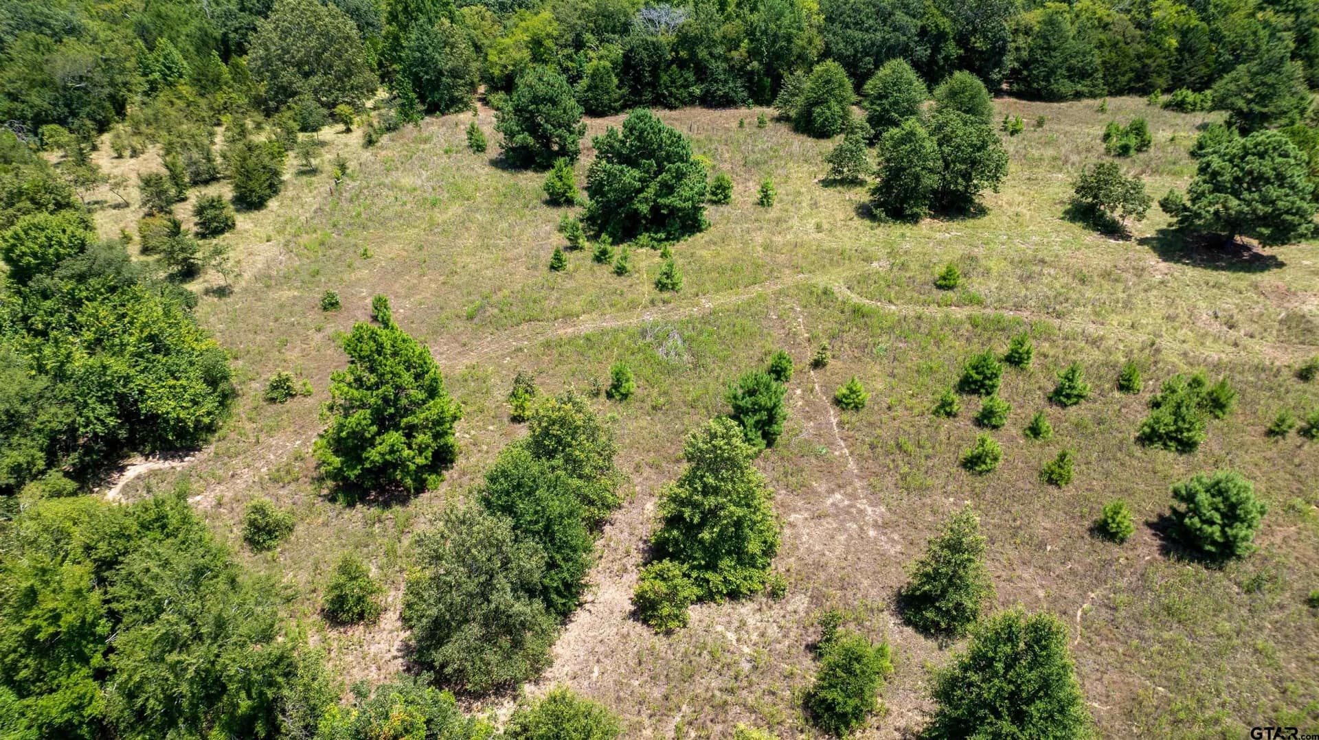 24.91 acres in Smith County - photo 17