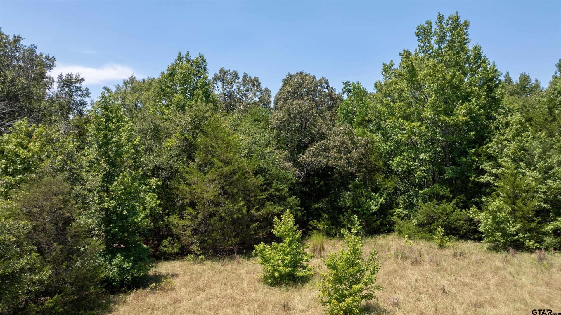 24.91 acres in Smith County - photo 24