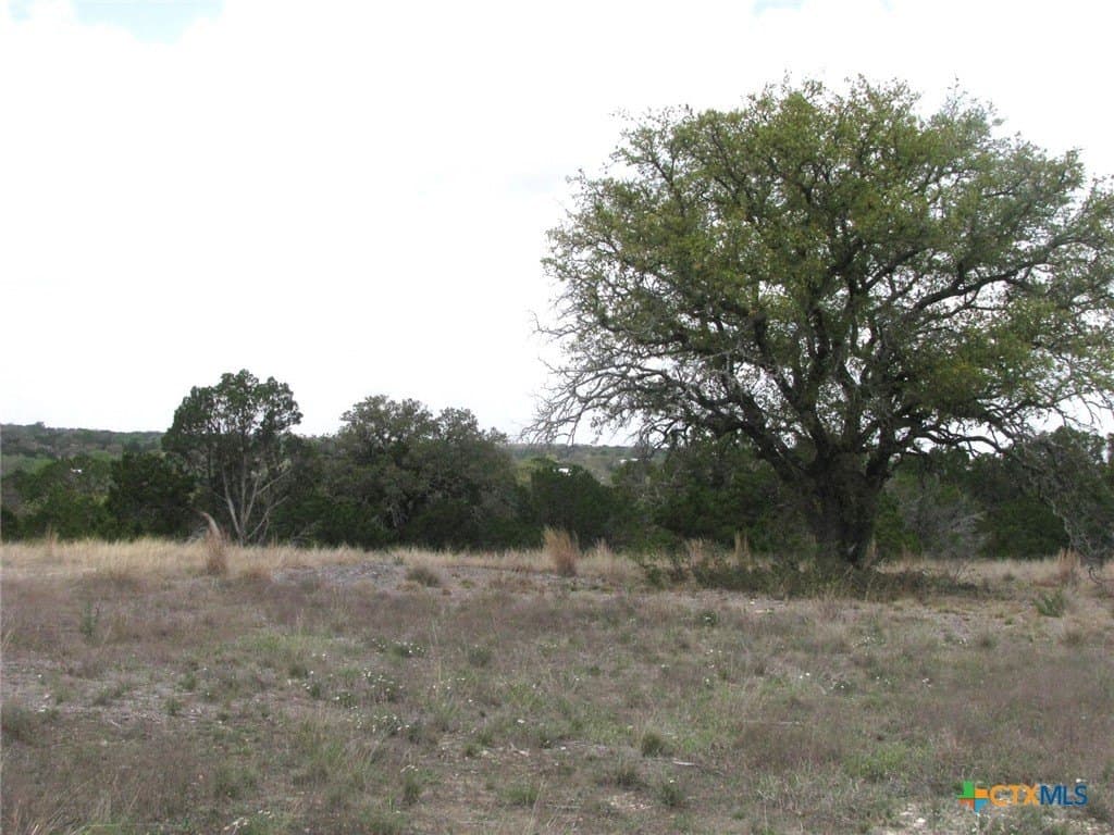 10.05 acres in Coryell County - photo 15