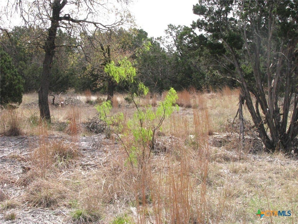 10.05 acres in Coryell County - photo 17