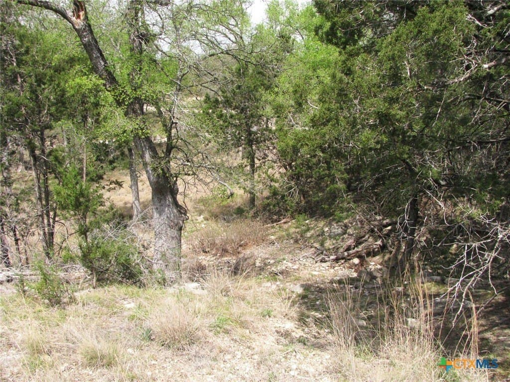 10.05 acres in Coryell County - photo 10