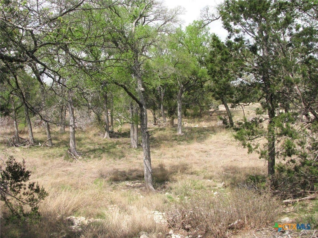 10.05 acres in Coryell County - photo 12