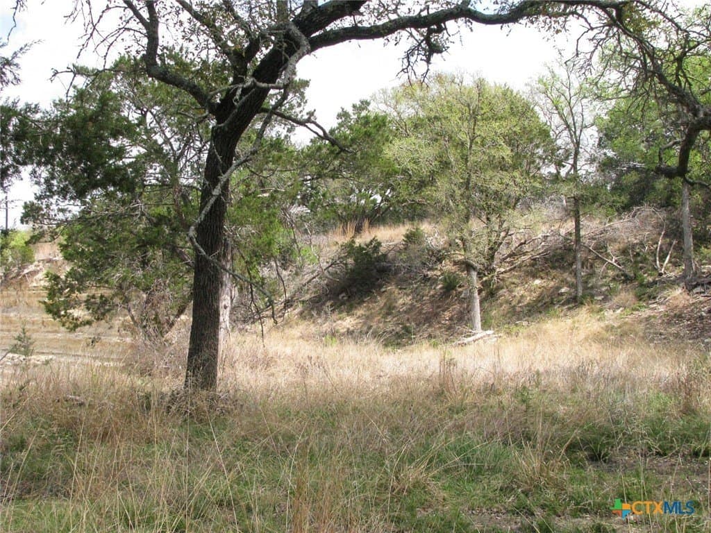 10.05 acres in Coryell County - photo 19