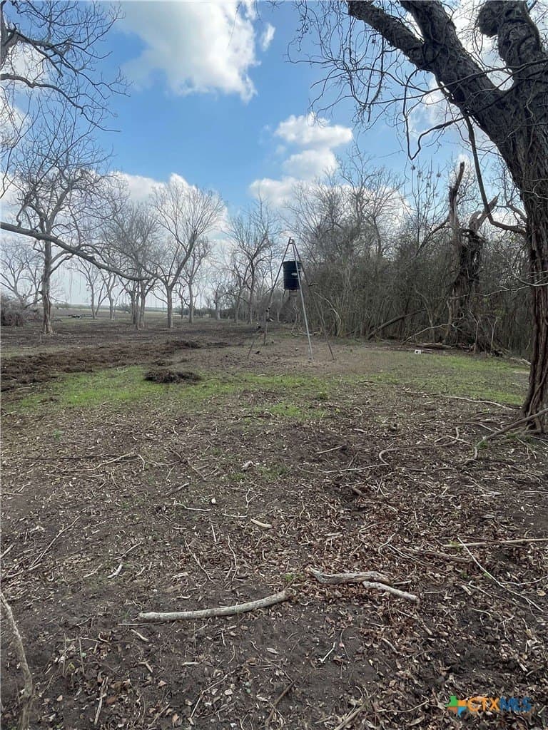 27.04 acres in Goliad County - photo 14