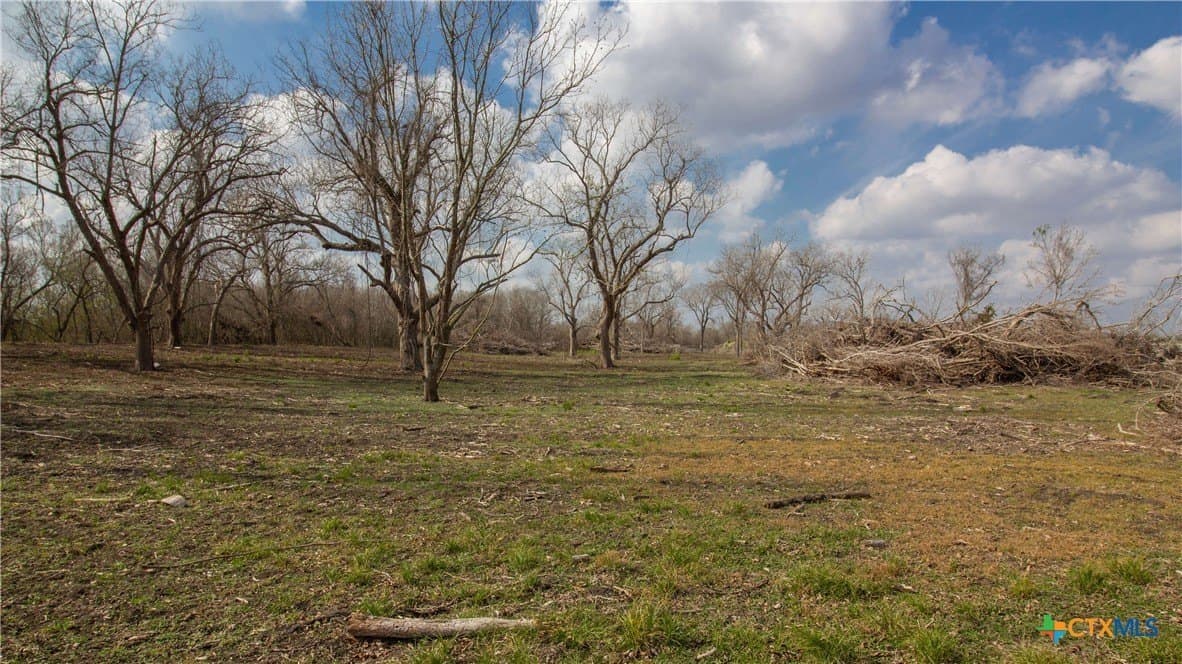 27.04 acres in Goliad County - photo 5