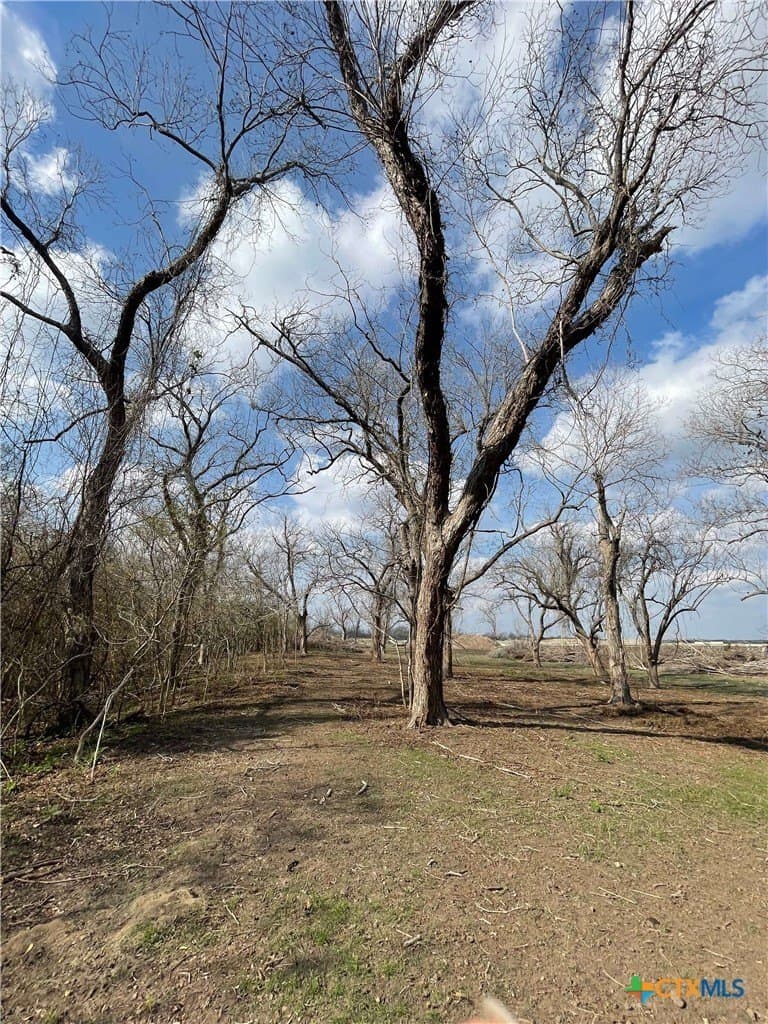 27.04 acres in Goliad County - photo 8