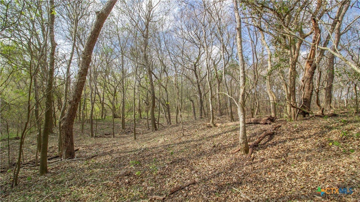 27.04 acres in Goliad County - photo 4
