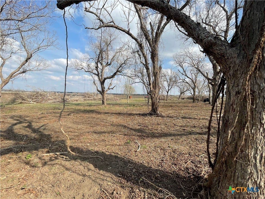 27.04 acres in Goliad County - photo 18