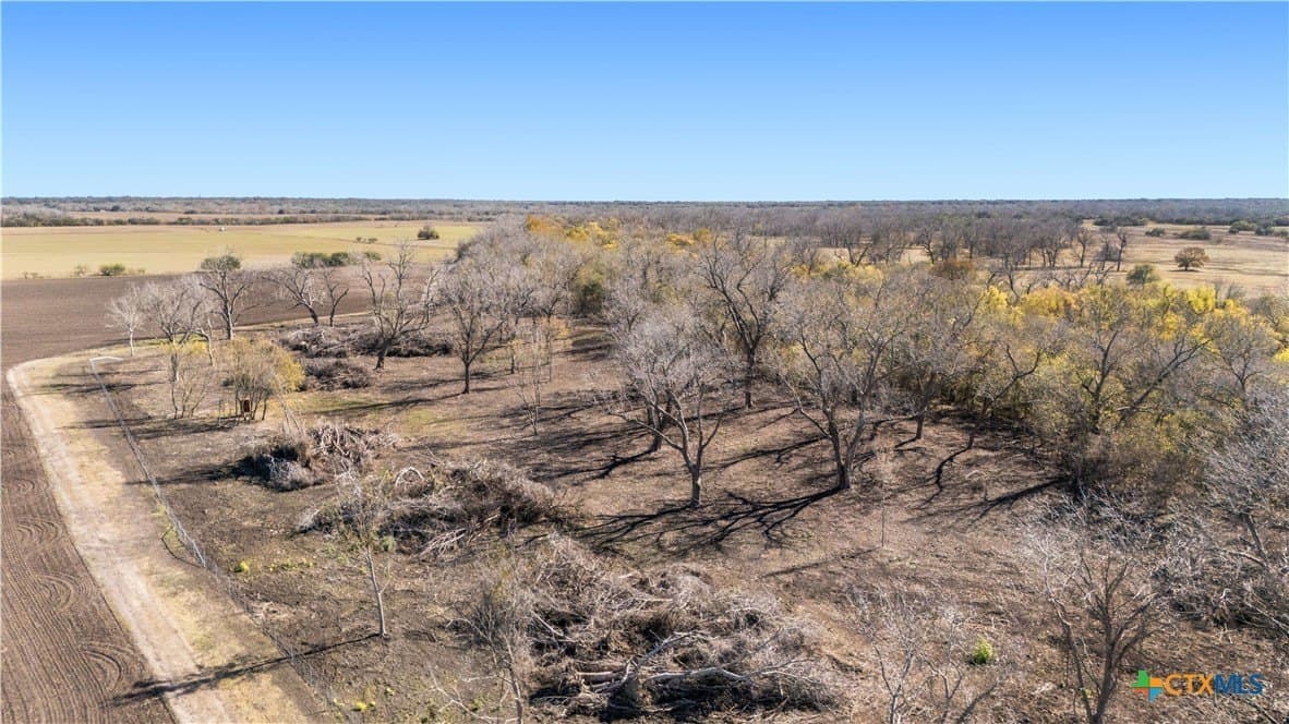 27.04 acres in Goliad County - photo 29