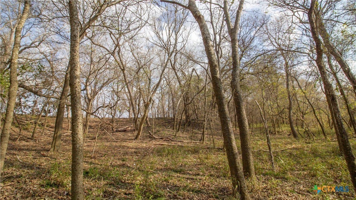 27.04 acres in Goliad County - photo 7