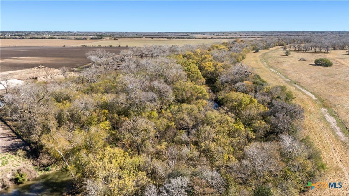 27.04 acres in Goliad County - photo 19
