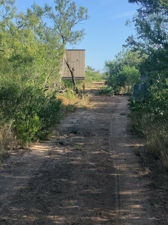 11.29 acres in Duval County - photo 3