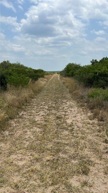 11.29 acres in Duval County - photo 4