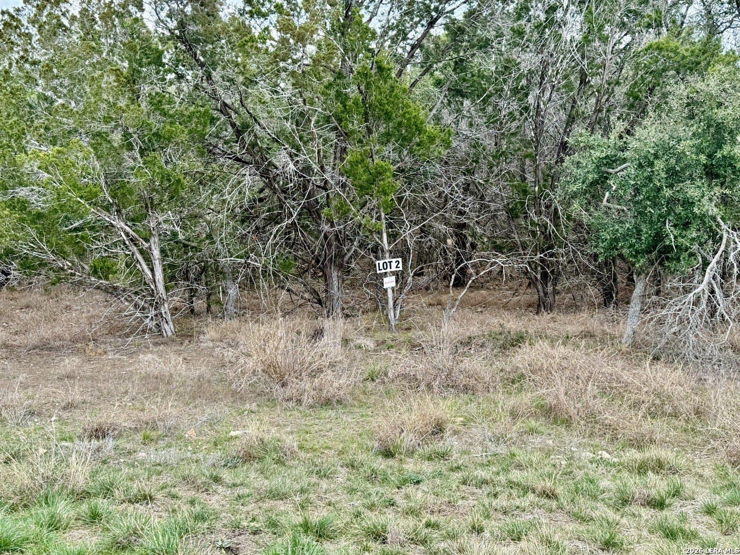 1.67 acres in Comal County - photo 7