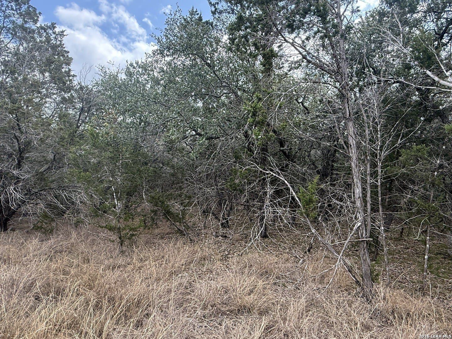 1.67 acres in Comal County - photo 10