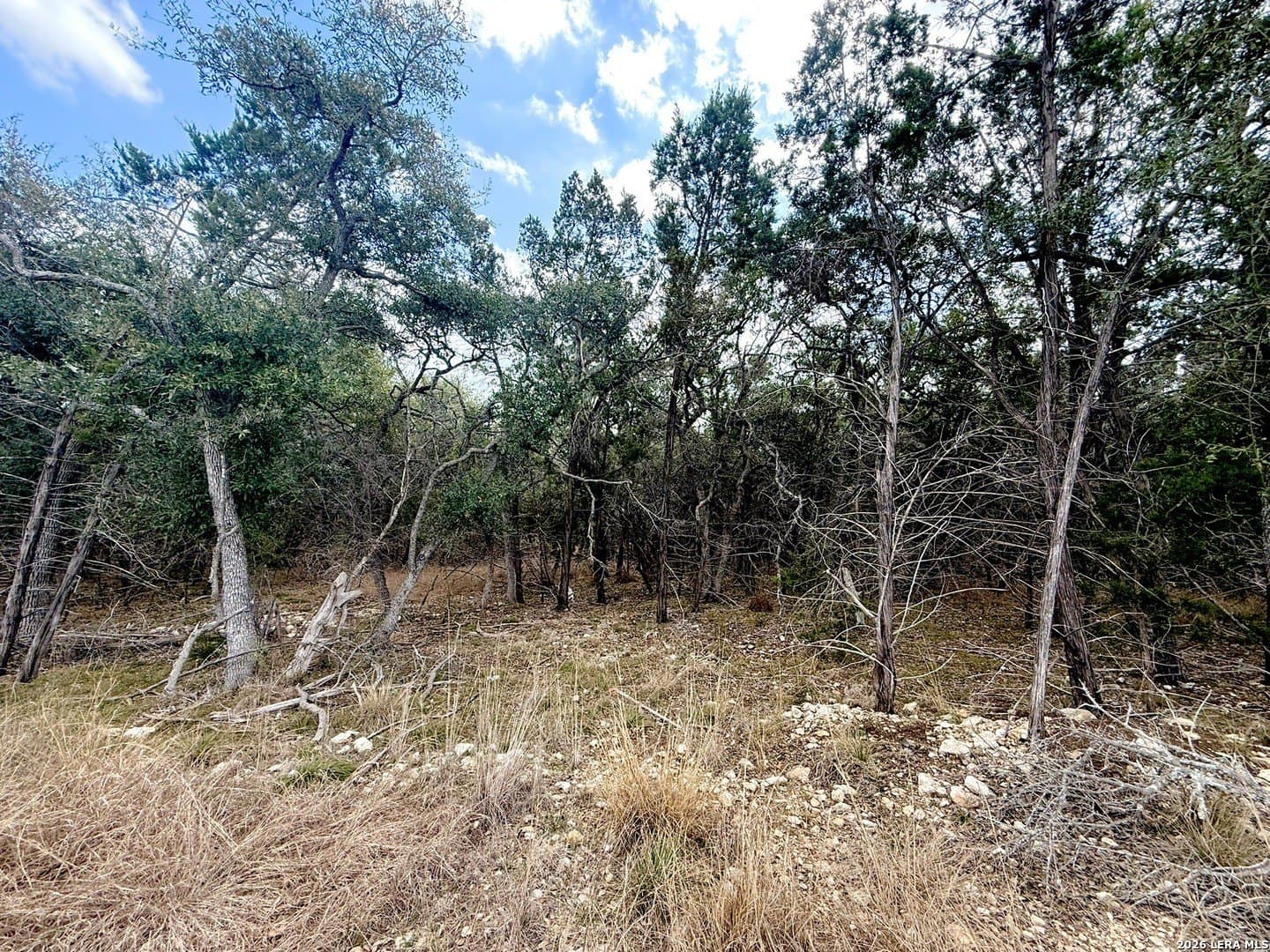 1.67 acres in Comal County - photo 9