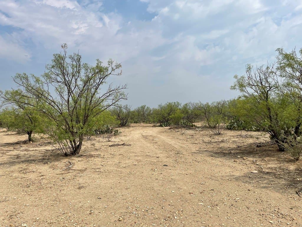 25.14 acres in Maverick County - photo 5
