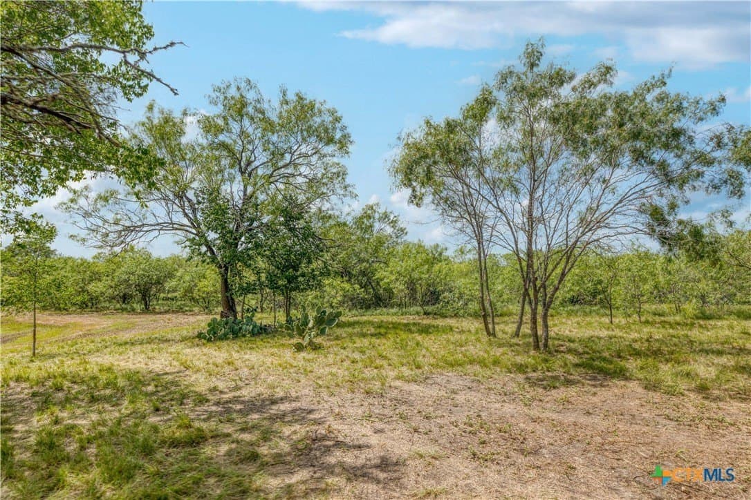 14.92 acres in Caldwell County - photo 3