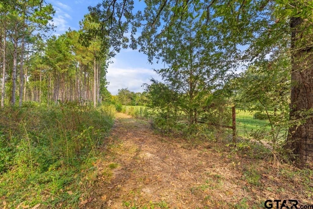 110.91 acres in Smith County - photo 18