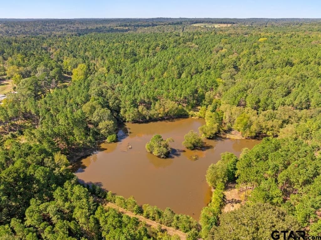 110.91 acres in Smith County - photo 12
