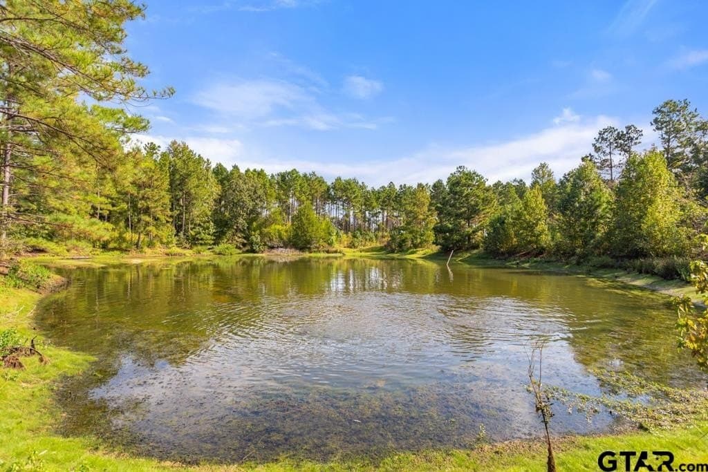 110.91 acres in Smith County - photo 14
