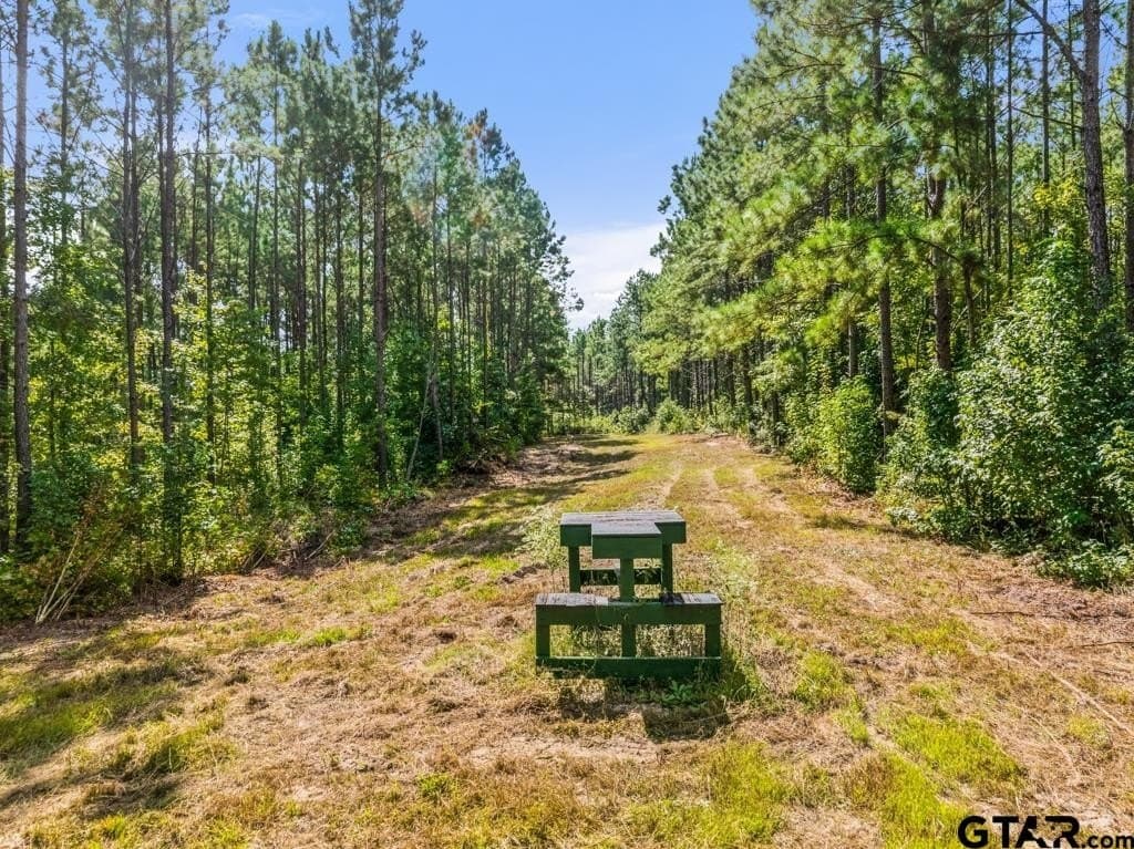110.91 acres in Smith County - photo 37