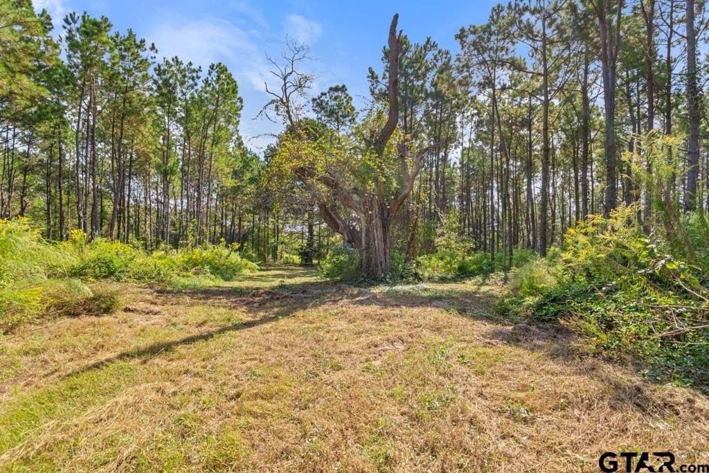 110.91 acres in Smith County - photo 27