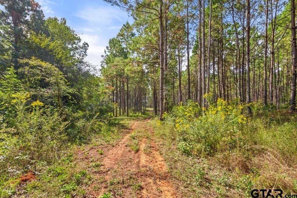 110.91 acres in Smith County - photo 24