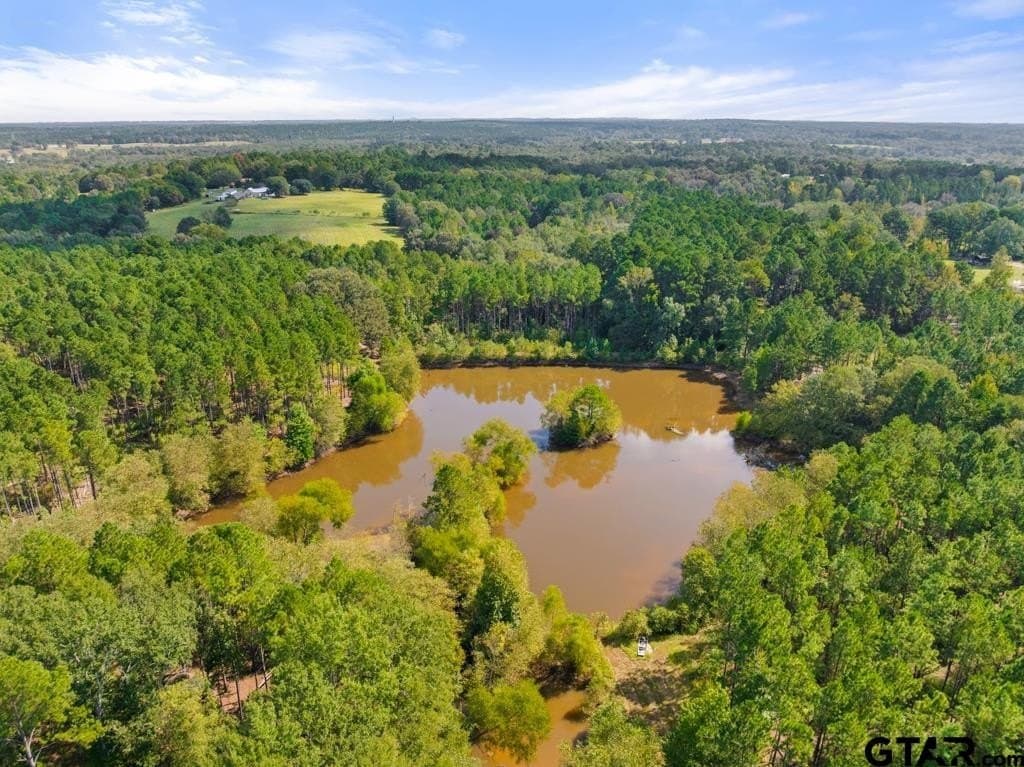 110.91 acres in Smith County - photo 15