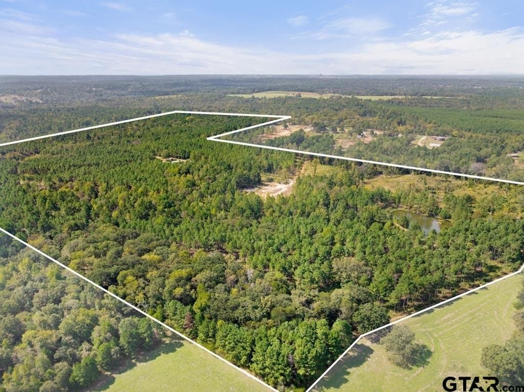110.91 acres in Smith County - photo 45